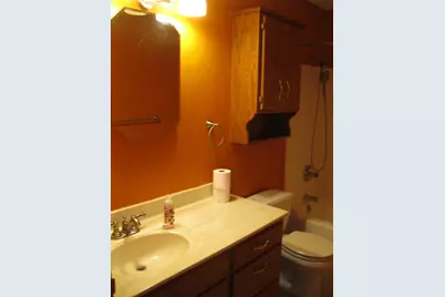 356 Circle Drive, Saint Martin, MN 56376 - Photo 30