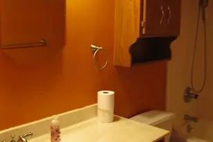 356 Circle Dr, Saint Martin, MN 56376 - Photo 30