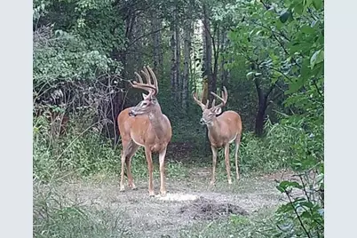 2830 185th Avenue NE, Foley, MN 56329 - Photo 1