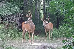 2830 185th Ave NE, Foley, MN 56329 - Photo 1