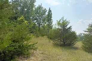 6157 Quinn Ave NW, South Haven, MN 55382 - Photo 48