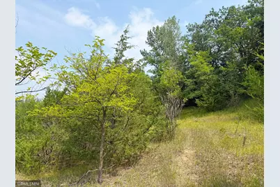 6157 Quinn Avenue NW, South Haven, MN 55382 - Photo 46