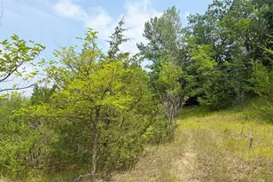 6157 Quinn Ave NW, South Haven, MN 55382 - Photo 46