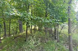 6157 Quinn Ave NW, South Haven, MN 55382 - Photo 44