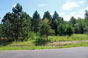 Xxx10 My Abbys Way Ln SW, Pequot Lakes, MN 56472 - Photo 1