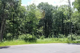 Xxx19 My Abbys Way Ln SW, Pequot Lakes, MN 56472 - Photo 1