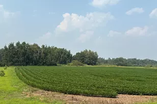 304Xx Jodrell Street NE, Cambridge, MN 55008 - Photo 1