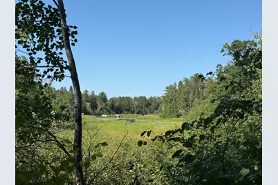 Tbd Azalea Road, Pillager, MN 56473 - Photo 1
