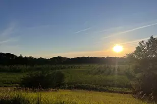 20801 13th Ave, Saint Augusta, MN 55320 - Photo 52