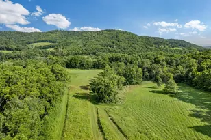 24334 County Rd 9, Homer Twp, MN 55987 - Photo 46