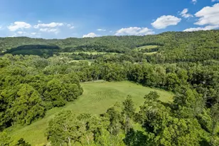 24334 County Rd 9, Homer Twp, MN 55987 - Photo 44