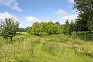 241A Glen Cir, River Falls, WI 54022 - Photo 56