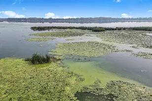 65254 365th St, Watkins, MN 55389 - Photo 38