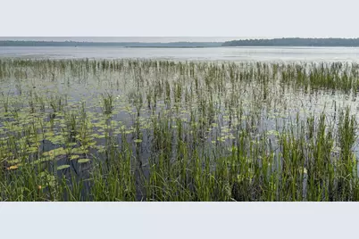 [Address not provided], Palisade, MN 56469 - Photo 16