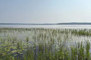 [Address not provided], Palisade, MN 56469 - Photo 16