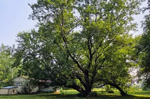 10587 Town Rd 34, Mizpah, MN 56660 - Photo 8