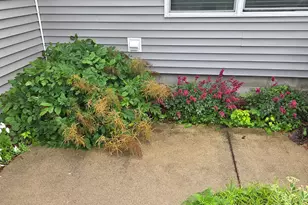 3790 Country Field Ln SW, Bemidji, MN 56601 - Photo 26