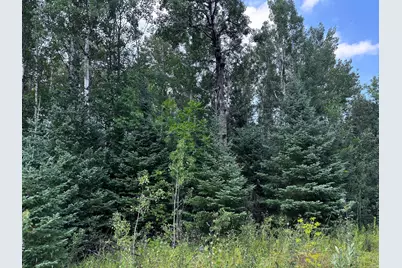 Tbd Highway 71, Littlefork, MN 56653 - Photo 1