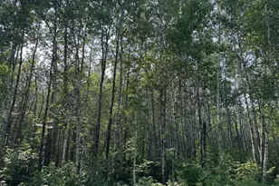 80+ Acres Willow Creek Road NE, Kelliher, MN 56650 - Photo 1