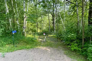 41174 Yellow Birch Ln, Emily, MN 56447 - Photo 1