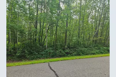 Lot 4 Blk 2 SW 1st Avenue, Grand Rapids, MN 55744 - Photo 2