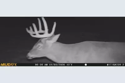 12360 Ronneby Road NE, Foley, MN 56329 - Photo 26