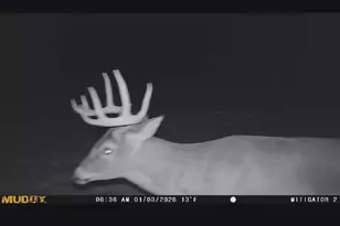 12360 Ronneby Rd NE, Foley, MN 56329 - Photo 26