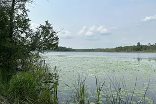 Tbd Jola Rd, Eveleth, MN 55734 - Photo 1