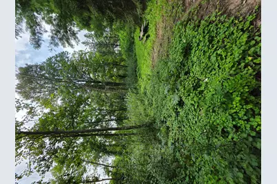 14Xxx Dellwood Road N, Stillwater, MN 55082 - Photo 6