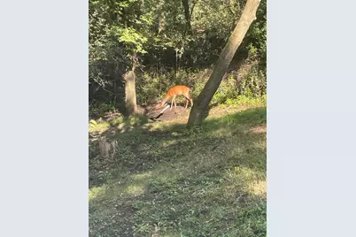 33672 County Road 15, Beaver Falls Twp, MN 56270 - Photo 4