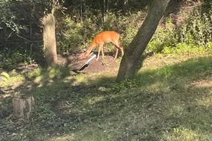 33672 County Road 15, Beaver Falls Twp, MN 56270 - Photo 4