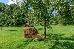 1945 130th Ave, Mora, MN 55051 - Photo 4