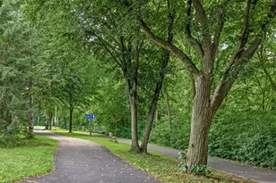 5146 Newton Ave N, Minneapolis, MN 55430 - Photo 38