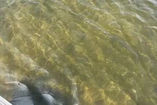 1511 S Lake Dr, Shell Lake, WI 54871 - Photo 90