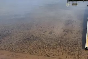 1511 S Lake Dr, Shell Lake, WI 54871 - Photo 88