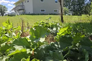 12916 250th Ave NE, Kratka Twp, MN 56725 - Photo 10