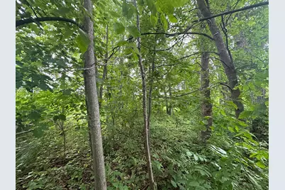 14777 Katrine Drive, Deerwood, MN 56444 - Photo 8