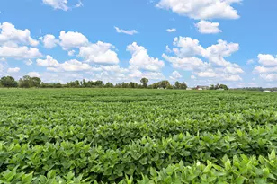 2312 Becker Trail, Faribault, MN 55021 - Photo 54