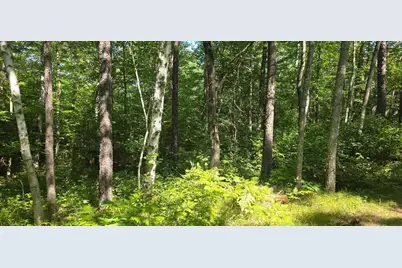 Lot 13 Lot 13 Hide-A-Way Trail, Webb Lake, WI 54830 - Photo 1