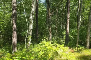 Lot 13 Lot 13 Hide-A-Way Trail, Webb Lake, WI 54830 - Photo 1