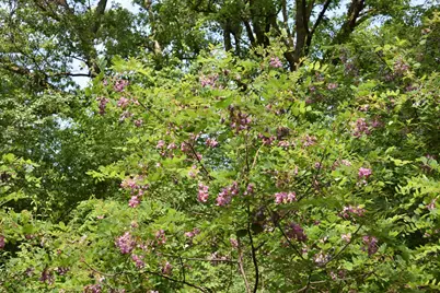 5470 Rowland Road, Minnetonka, MN 55343 - Photo 8