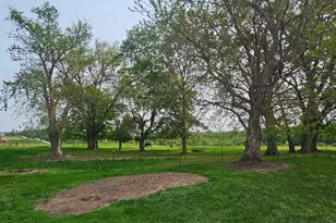 16325 351st Ave, Amherst Twp, MN 55939 - Photo 4