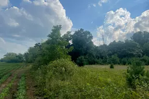 9484 Sunrise Rd, Harris, MN 55032 - Photo 34