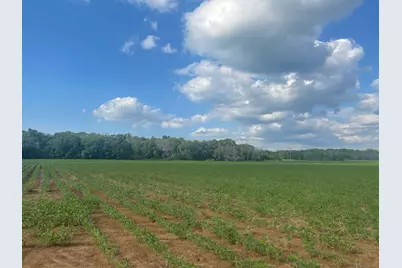 9484 Sunrise Rd, Harris, MN 55032 - Photo 38