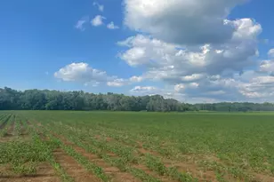 9484 Sunrise Rd, Harris, MN 55032 - Photo 38