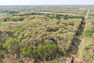 10904 Harvest Rd, Little Falls Township, MN 56345 - Photo 72