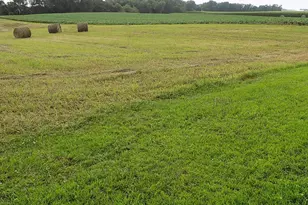 21599 170th St, Sleepy Eye, MN 56085 - Photo 38