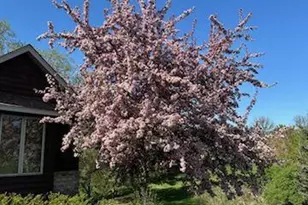 19700 Pembrook Cir, Rogers, MN 55374 - Photo 52