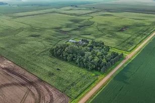 87192 510th St, Buffalo Lake, MN 55314 - Photo 44