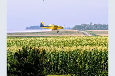 87192 510th Street, Buffalo Lake, MN 55314 - Photo 6